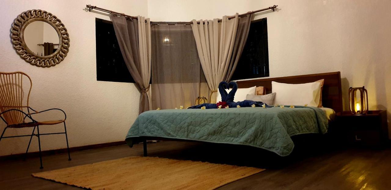 La Maison De La Plage Albion Ngoại thất bức ảnh